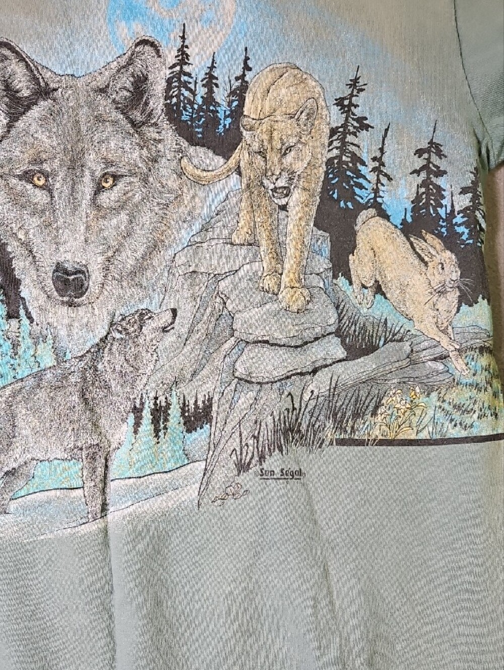 Vintage 1990s Lassen Volcanic National Park Wildlife Graphic Tee Single Stitch - Picture 10 of 11